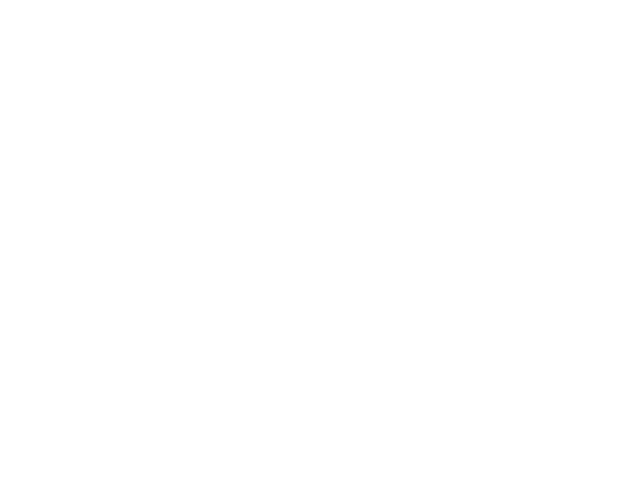 apollon_logo_dik white