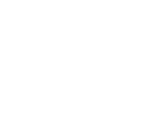 apollon_logo_dik white